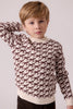 Cottier Ashton Knit Brown Sweater