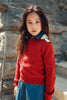 Cottier Chunky Knit Crimson Top