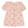 Floss Dolly Short Sleeve Pink Berry Gingham Dress